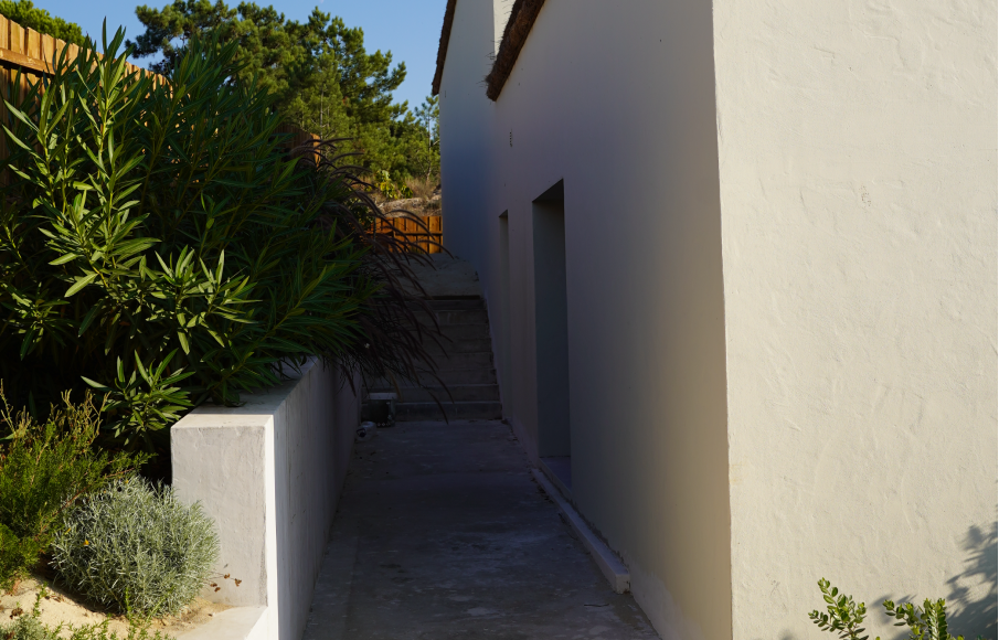 pinheiro 10